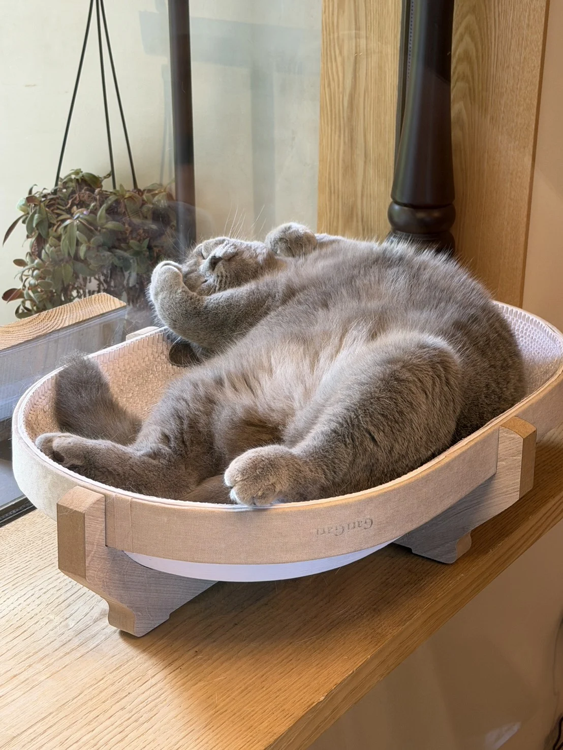 たび:窓辺のベッドでひと休み